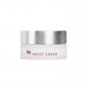 SPA Treatment absowater Clear Moist Cream
