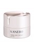 Kanebo Fresh Day Cream SPF15
