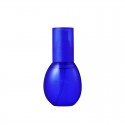 Kose Sekkisei Clear Wellness W Barrier Mist