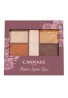 Canmake Tokyo Perfect Stylist Eyes