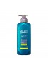 Kao Success Medicated Shampoo Smooth Wash EX Cool