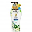Kose Cosmeport Salon Style Argan Oil & Organic Herbs Air In Smooth Shampoo