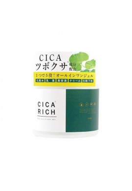 Fuji Cica Rich All in One Gel