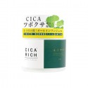 Fuji Cica Rich All in One Gel