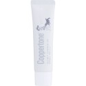 Taisho Coppertone Secret Change UV Marshmallow White SPF50+ PA++++