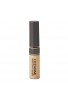 CEZANNE Stretch Cover Concealer SPF50+ PA++++