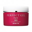 ROSETTE Suhadabi System Medicated Perfect Gel Aqua