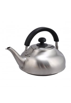 Takei Kibutsu Stainless Trevian Kettle