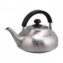 Takei Kibutsu Stainless Trevian Kettle