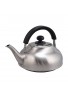 Takei Kibutsu Stainless Trevian Kettle