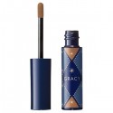 Shiseido Integrate GRACY Eyebrow Powder