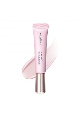 Shiseido MAQuillAGE Dramatic Pore Highlighter SPF30 PA+++