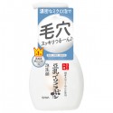 Sana Namerakahonpo Cleansing Foam Face Wash NC