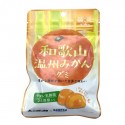 Kaneka Wakayama Wenzhou Mandarin Orange Gummy