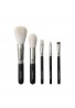 Hakuhodo Basic 5 Piece Brush Set A