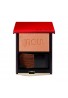 Shiseido Inoui Cheek
