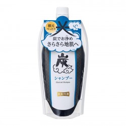 Ishizawa Charcoal Shampoo for Oily Skin