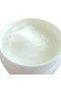 SUGURI Okinawa Skincare Shell Ginger Moisture Cream