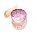 DHC Q10 Moisture Care Clear Powdery Foundation SPF25 PA++