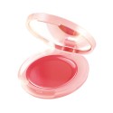 DHC Cream Cheek Color