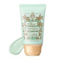 Shiseido Majolica Majorca Skin Navigate Color SPF30 PA+++