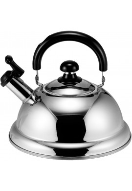 Takei Kibutsu Quick One Energy-Saving Whistling Kettle TK-250