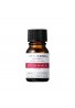 Lenor Japan Tunemakers TPNa Vitamin E Derivative Essence