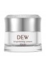 Kanebo DEW Brightening Cream