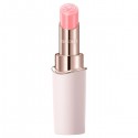 Kose DECORTE Rouge Decorte Tint & Plump