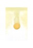 Ishizawa Onsen Nadeshiko Soda Spa Tablet Apple