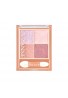 CEZANNE Beige Tone Eye Shadow