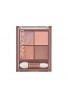 CEZANNE Bitter Tone Eye Shadow
