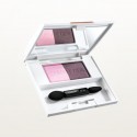 Azjatyckie kosmetyki Kanebo Coffret D'or Perfect Gradation Eyes
