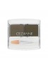 CEZANNE Powder Eyebrow R