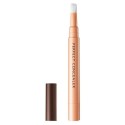 Orbis Perfect Concealer SPF15 PA++