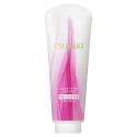Shiseido Tsubaki Volume Treatment