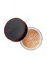 ASTALIFT Fujifilm Loose Powder SPF17 PA++