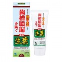 Kobayashi Leaf Shoyo Medicated Toothpaste C