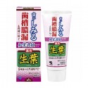 Kobayashi Leaf Shoyo Sensory Hypersensitivity Symptom Prevention Type Medicated Toothpaste S