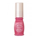 Canmake Tokyo Lasting Multi Brow Coat