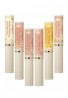 Canmake Tokyo Color Stick Moist Lasting Cover SPF50+ PA++++