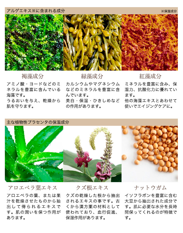 HAKUICHI Kinka Gold Moisture Cream N