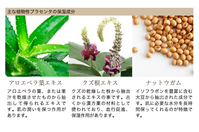 HAKUICHI Kinka Gold Nano Essence N