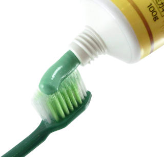 Kobayashi Leaf Shoyo EX Medicated Toothpaste