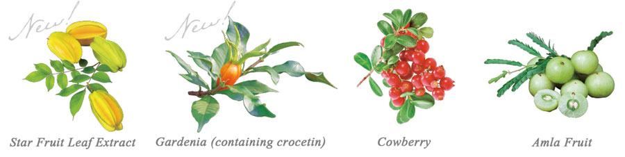 Shiseido The Collagen Relacle Drink