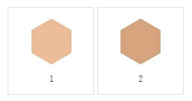 Shiseido Integrate GRACY Essence Powder BB SPF22 PA++
