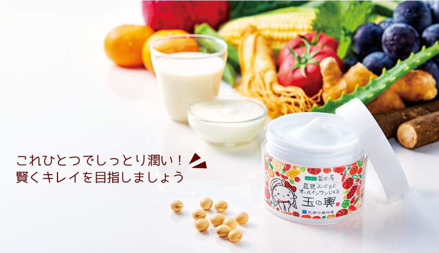 Tofu Moritaya Soy Milk Yogurt all in one Gel